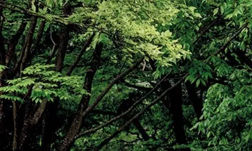 國內外碳費推展狀況專區